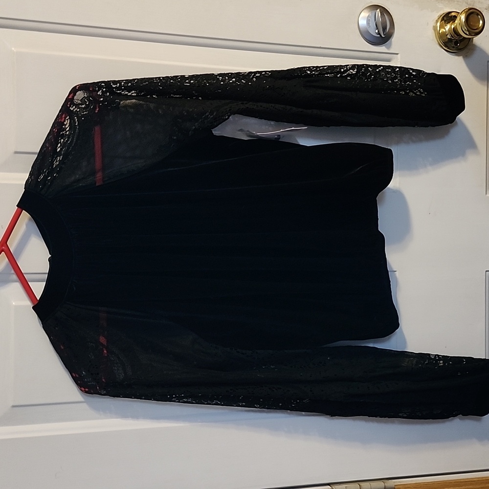 Free people velvet and sheer blouse